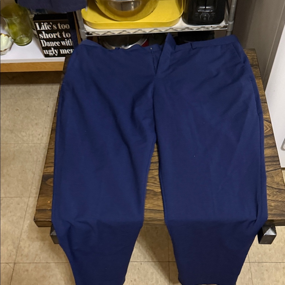 Express Men's Navy Chinos